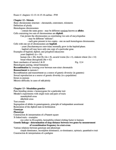 Chapter 4 outline - OneClass