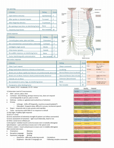 NURS305 Quiz: Neurological Assessment Cheat Sheet - OneClass